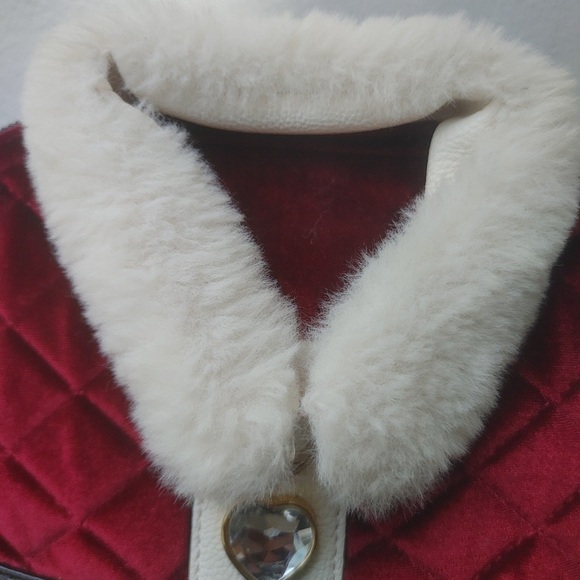 Betsey Johnson Santa suit crossbody - Picture 9 of 12